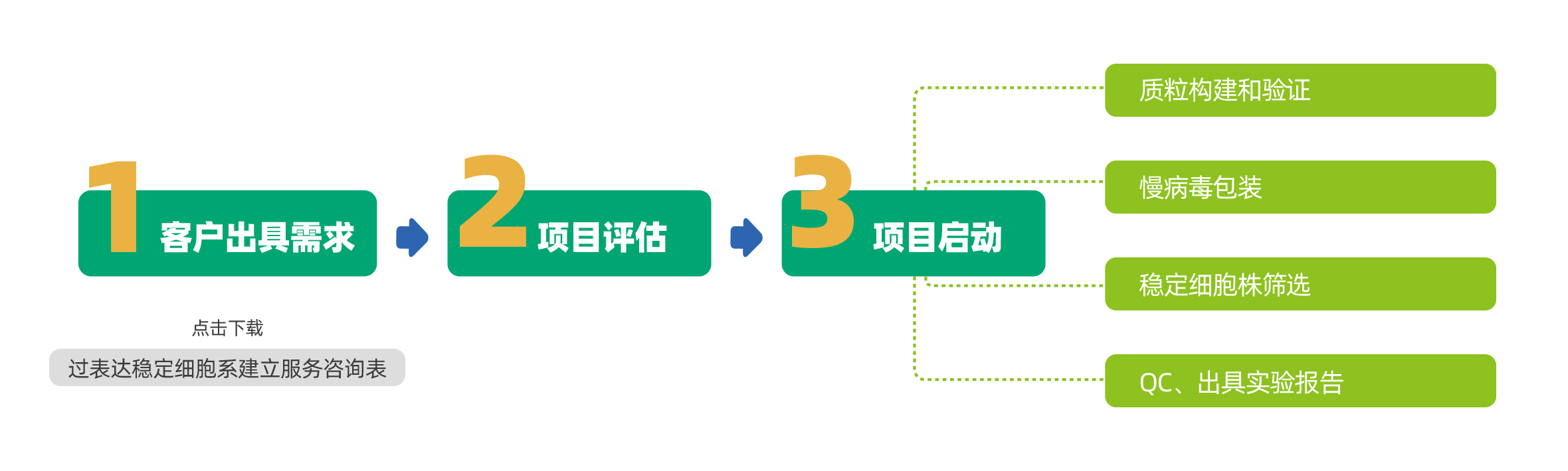 維真生物穩定細胞系建立服務流程